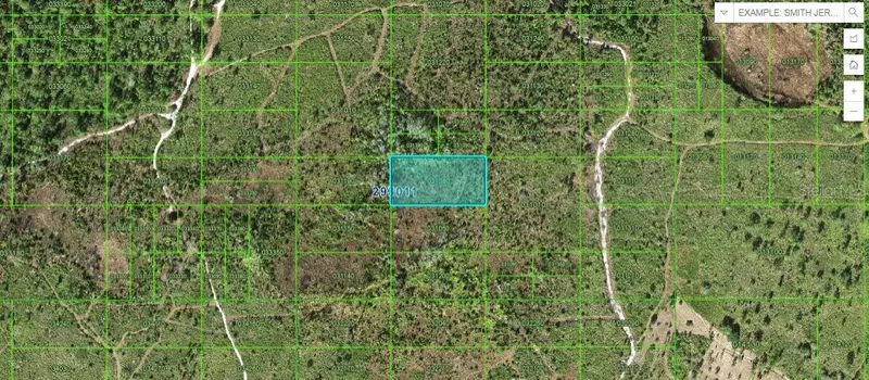 Tiger Lake Rd, FL