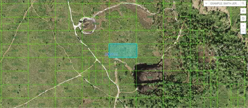 Tiger Lake Rd, FL