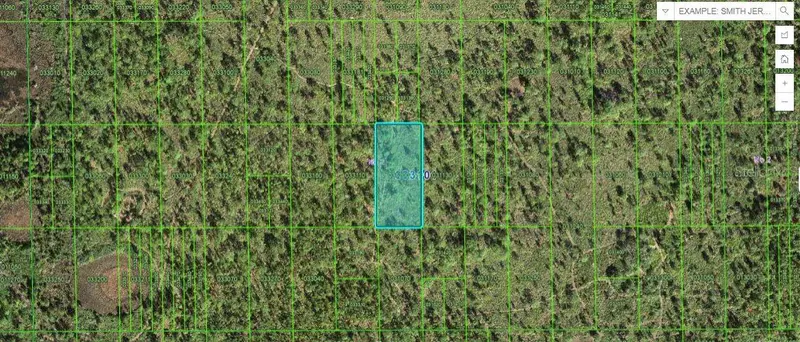Shady Oaks Dr, FL