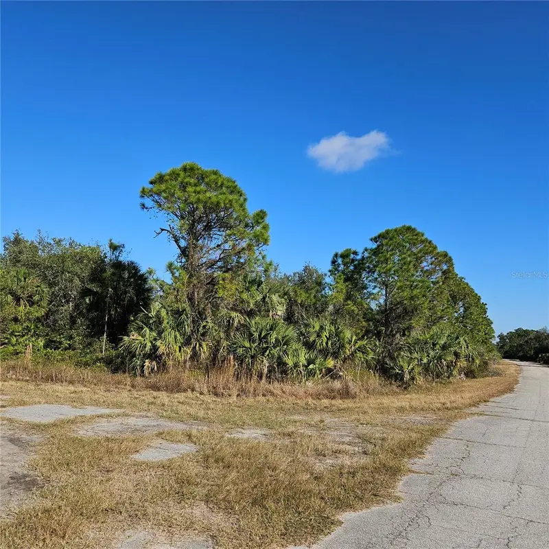 Custer Cir, FL