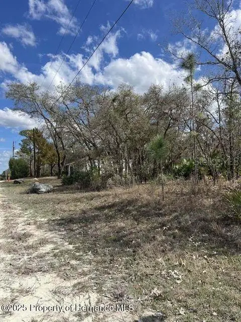 10180 Zebrafinch Ave, FL