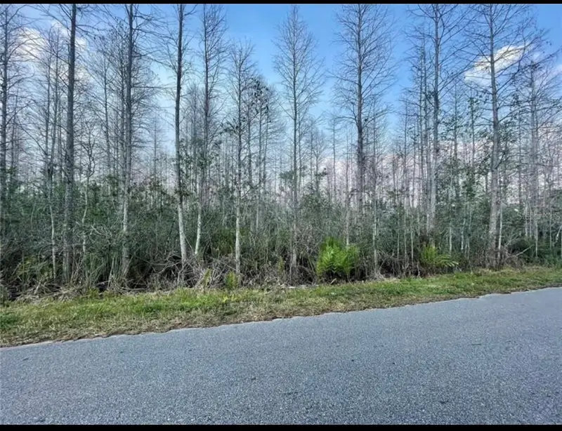 Luna Dr, FL