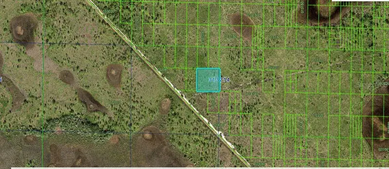 N/A, FL