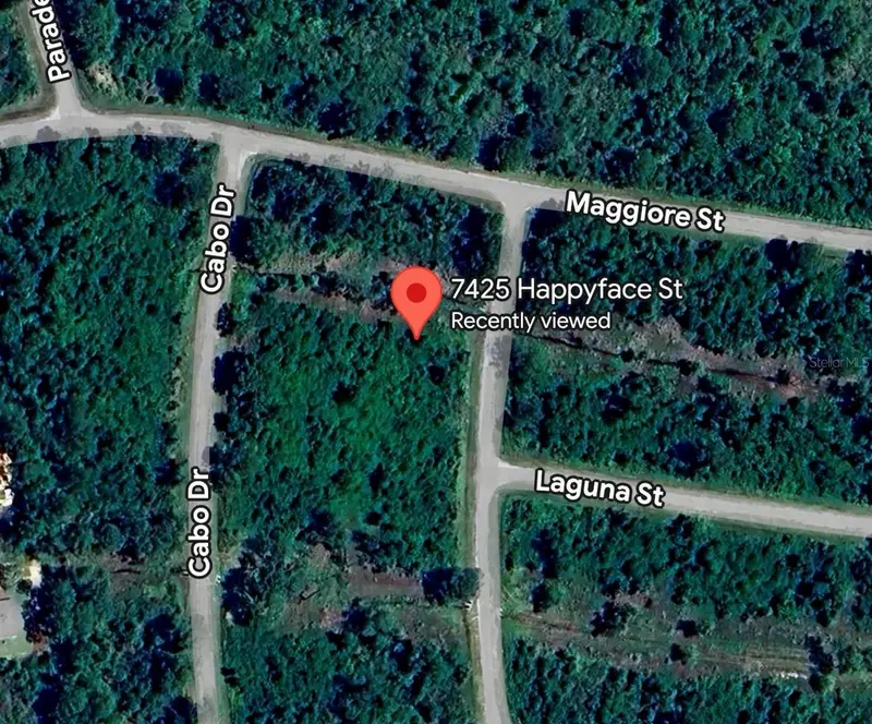 7425 Happyface St, FL