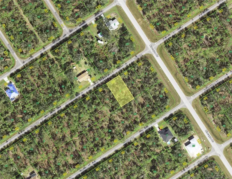 1388 Lace Terrace, FL