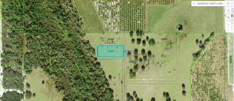 Mills Rd, FL