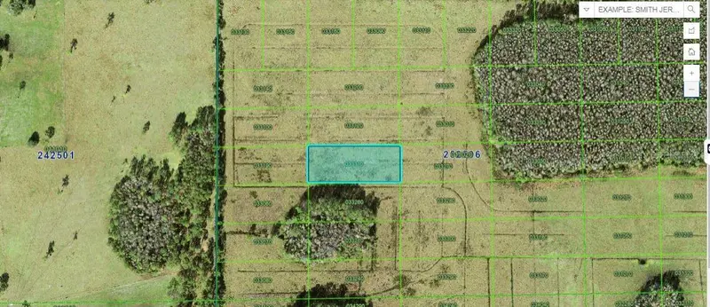 Green Pond Rd, FL