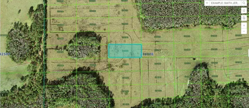 Green Pond Rd, FL