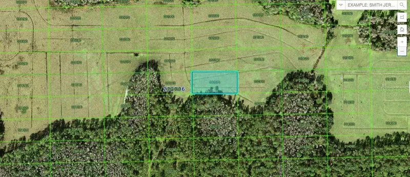 Green Pond Rd, FL