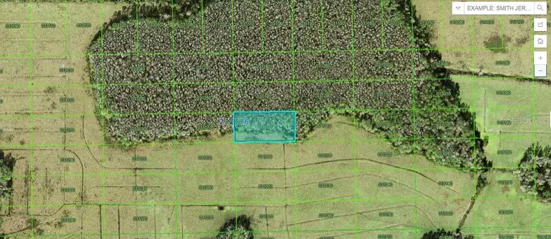 Green Pond Rd, FL