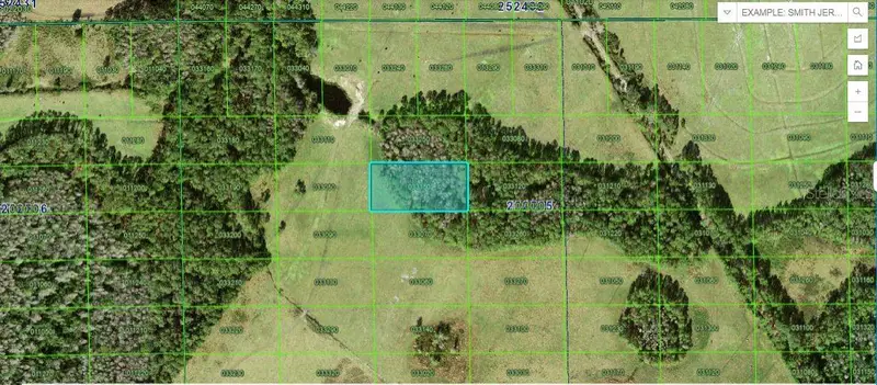 Green Pond Rd, FL