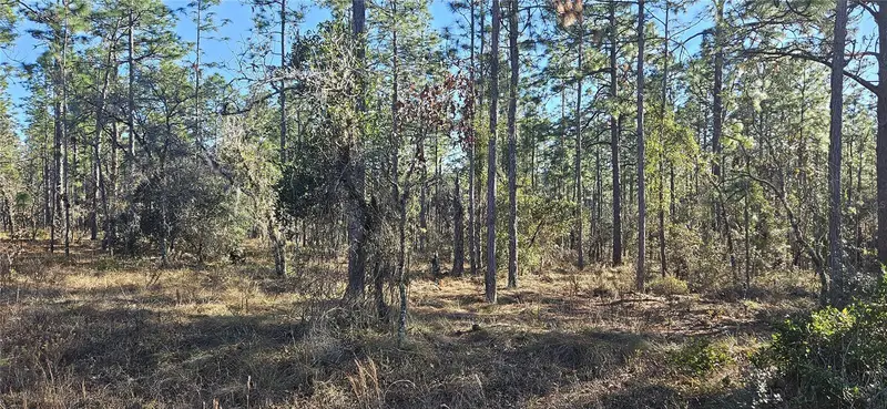 Lot 13 Nw Water Oak Avenue, FL