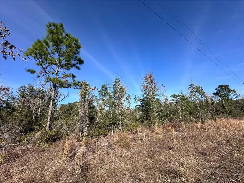 Tbd Ne 117th Ter, FL