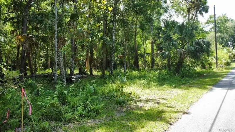 5303 S Parkland Ter, FL