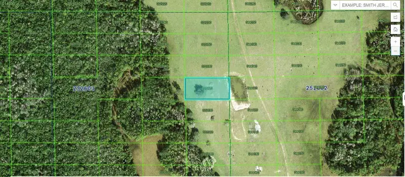 Deen Still Rd, FL