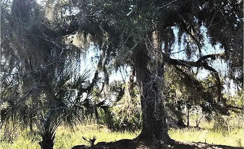 Hwy 60 E, FL