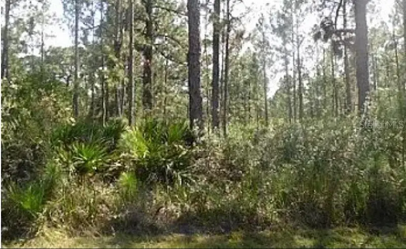 Hwy 60 E, FL