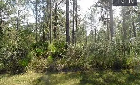 Hwy 60 E, FL