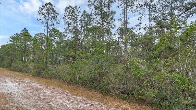 209 El Dorado Dr, FL