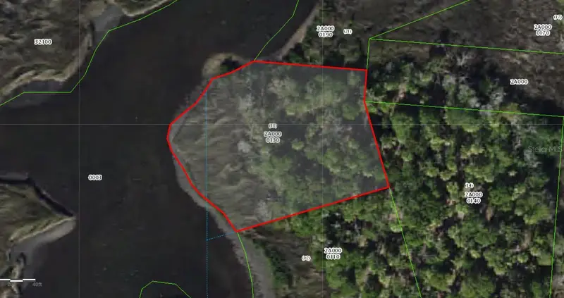 50 Carnahans, FL