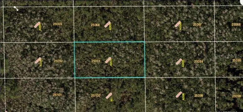 Dill Rd, FL