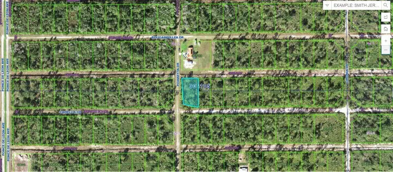 224 Camellia Dr, FL