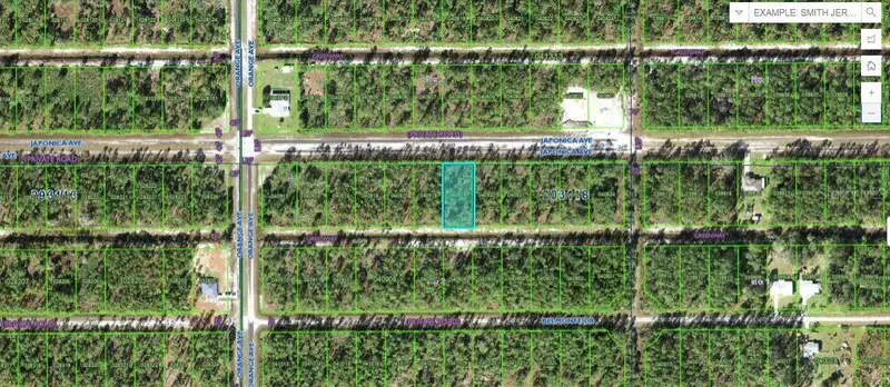 711 Japonica Ave, FL