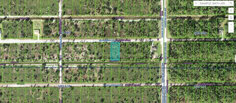 411 Allamanda Dr, FL