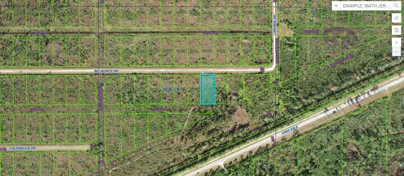 Belmonte Dr, FL
