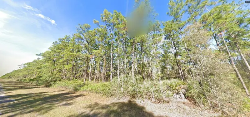 Belmonte Dr, FL