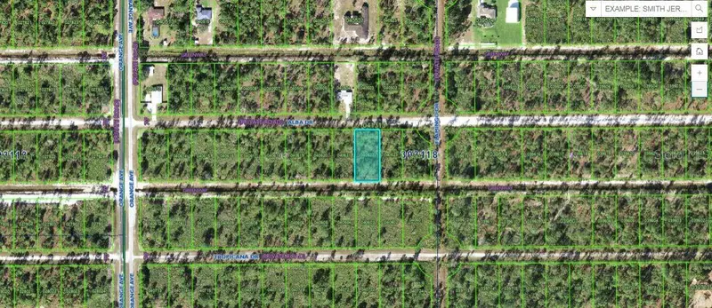 703 Alba Dr, FL
