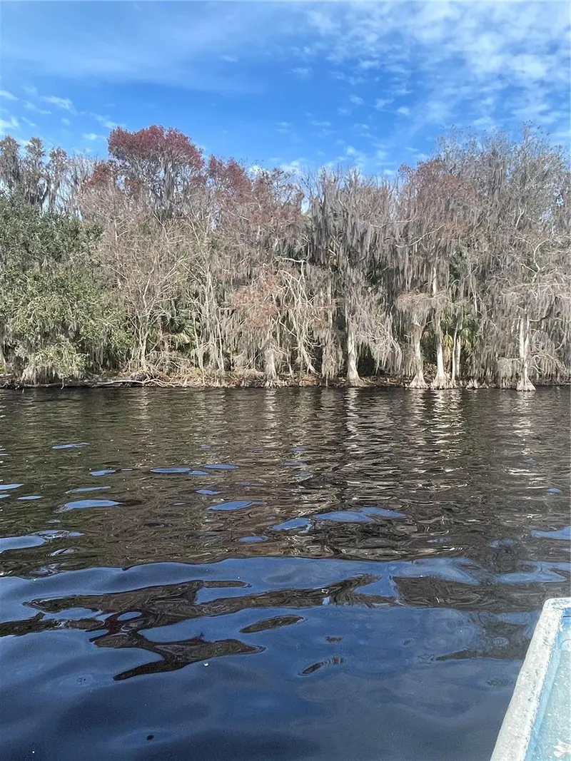 233 Stella Rd, FL