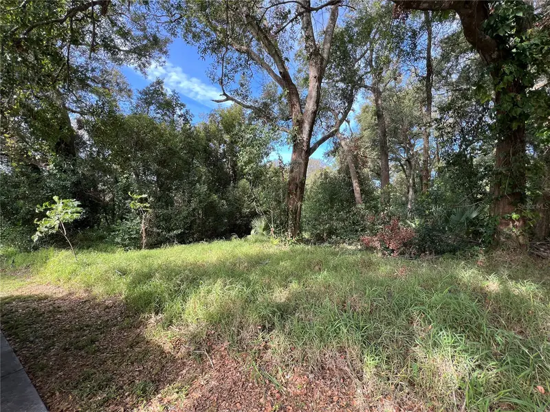 875 Ocoee Apopka Rd, FL