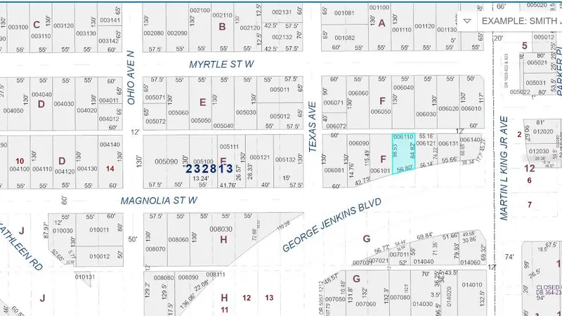 515 W Magnolia St, FL