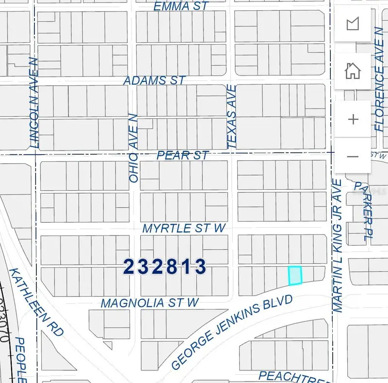 W Magnolia St, FL