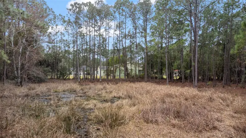 Sanctuary Ave, FL