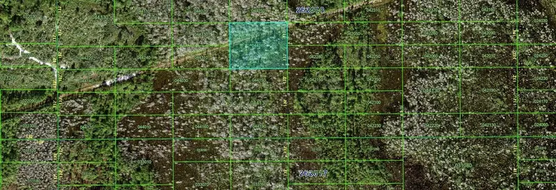 N/A, FL