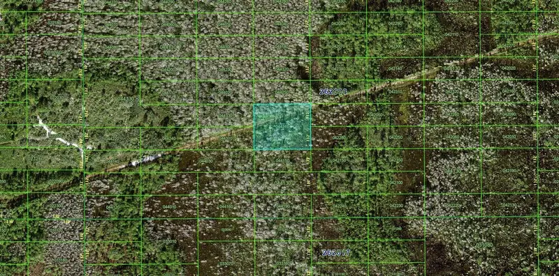 N/A, FL