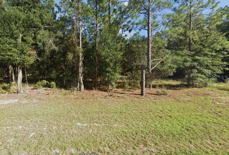 Missouri Avenue, FL