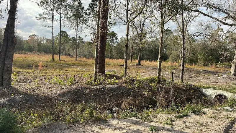 Kelly Ridge Rd, FL