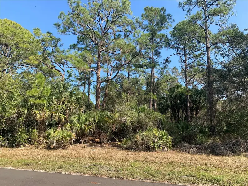 1194 Mallet Ln, FL