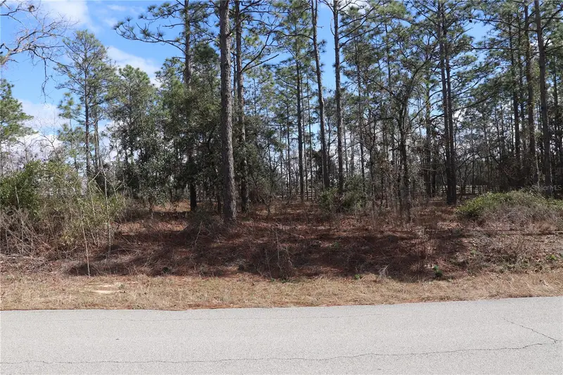 2251 Nw Buena Vista Rd, FL