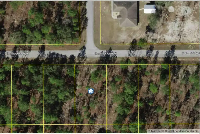 Lot 9 Nw Shamrock Ave, FL