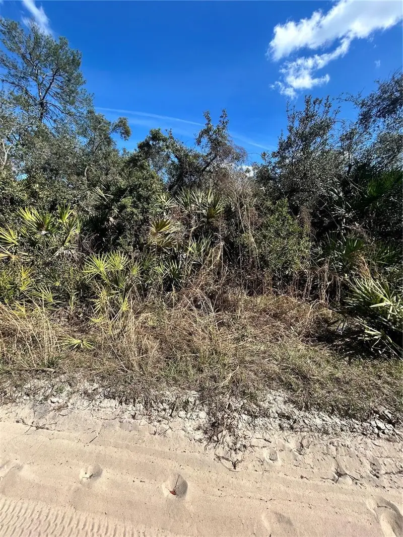 Deer Crossing Rd, FL