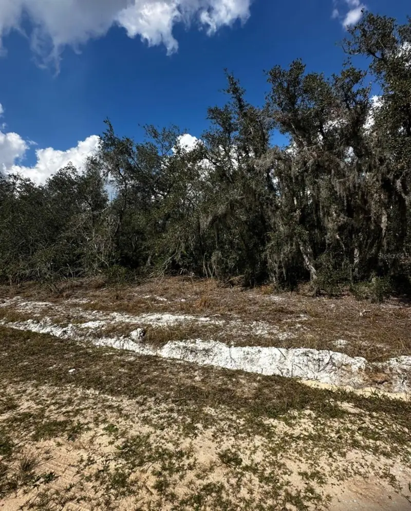 0 Allison Avenue, FL