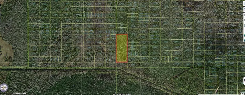 Holopaw Groves Rd, FL