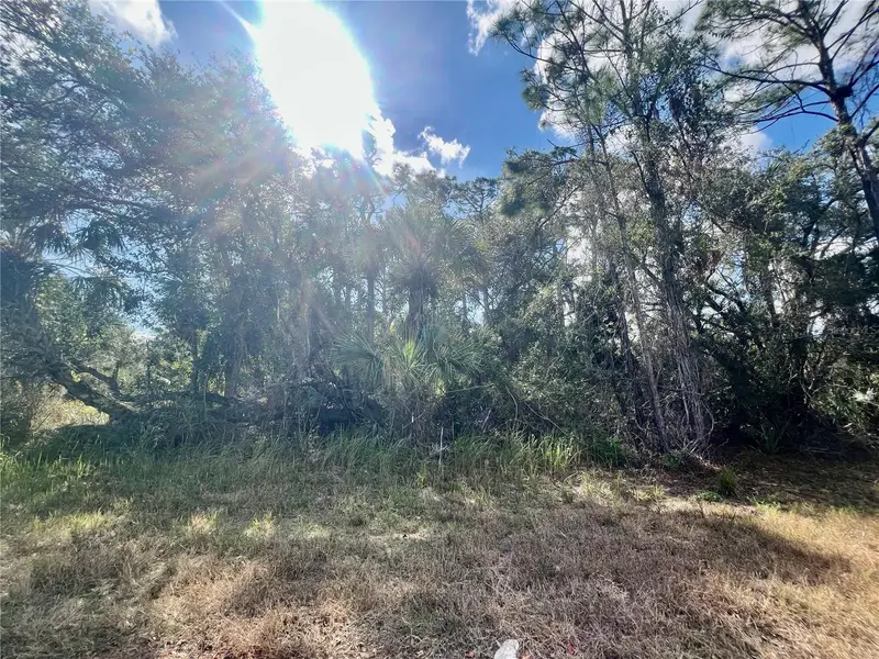 Lot 8 Abbeville Road, FL