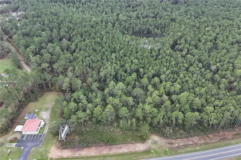 Hwy 40, FL