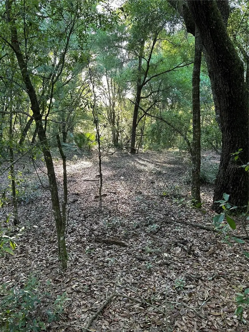 Sw Hwy 484, FL