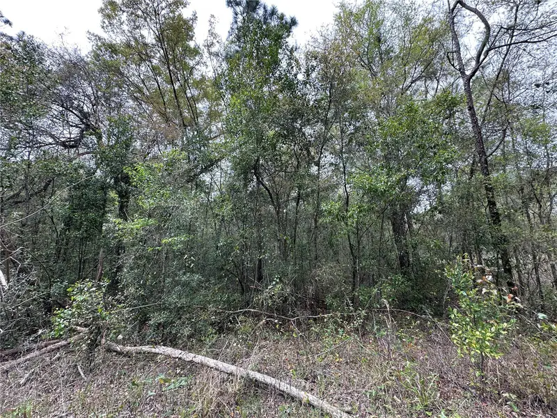 Tbd Ne 154th Ter, FL